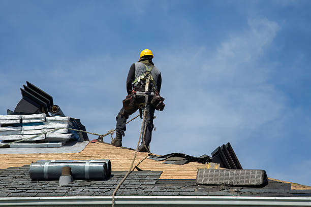 Professional Roof Installation technician working in Winger, MN